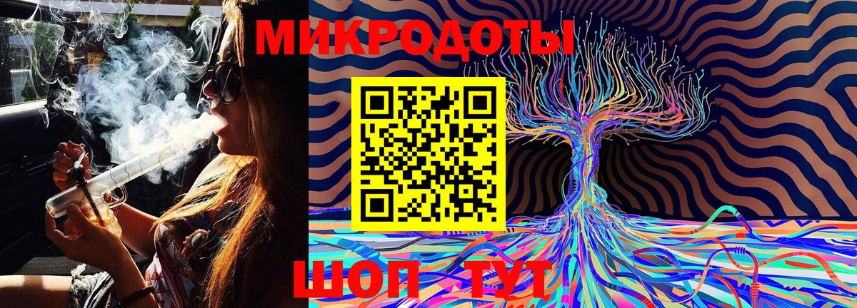 Псилоцибиновые грибы Cubensis Дубна
