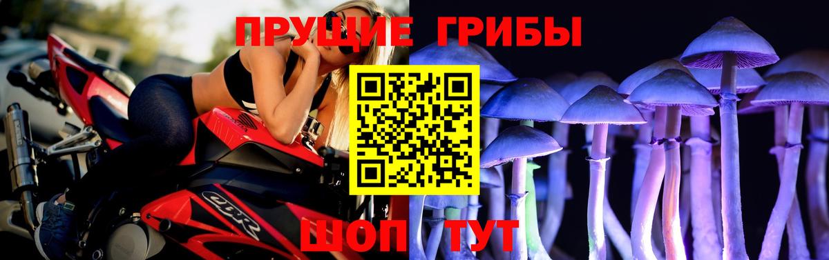 Псилоцибиновые грибы мухоморы  Вход с VPN  Дубна 